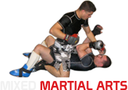 Mixed Martial Arts